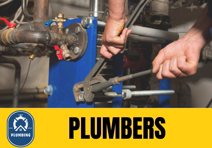  plumber Hoath